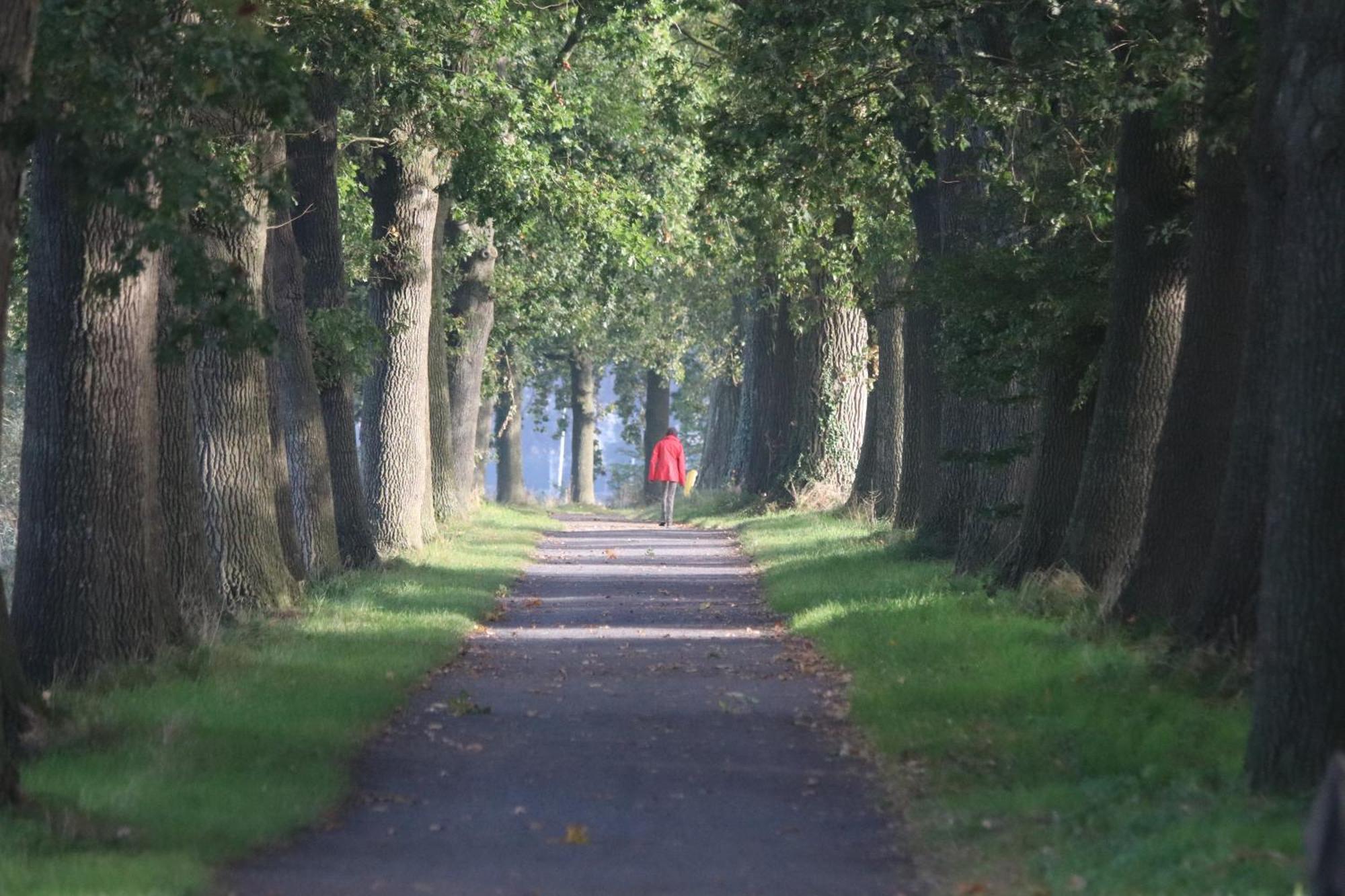 Huyze Vinteling Ypres Exterior foto